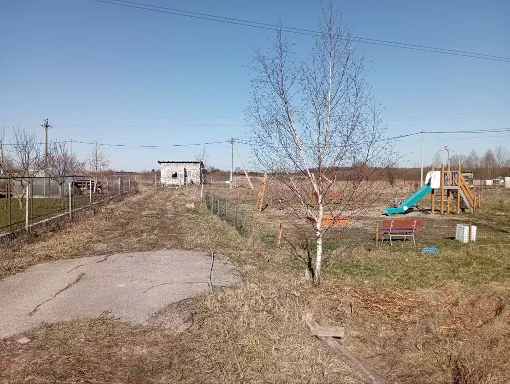 Участок в Калининградская область, Гурьевский муниципальный округ, ... - Фото 1