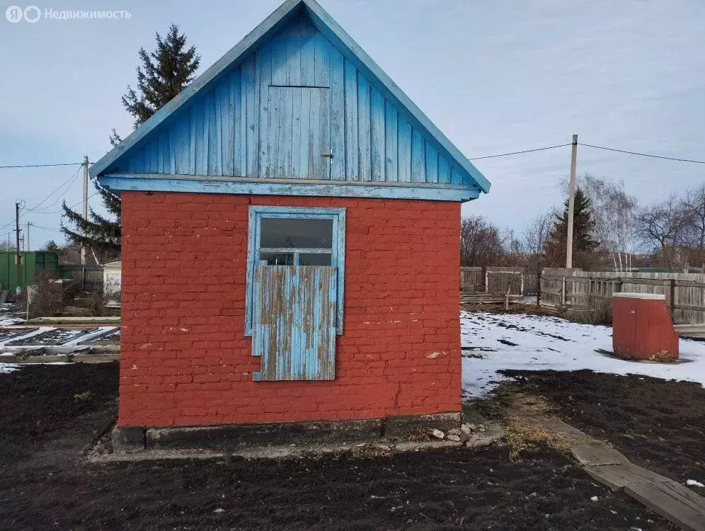 Участок в муниципальный округ Омский район, село Лузино (10 м) - Фото 1