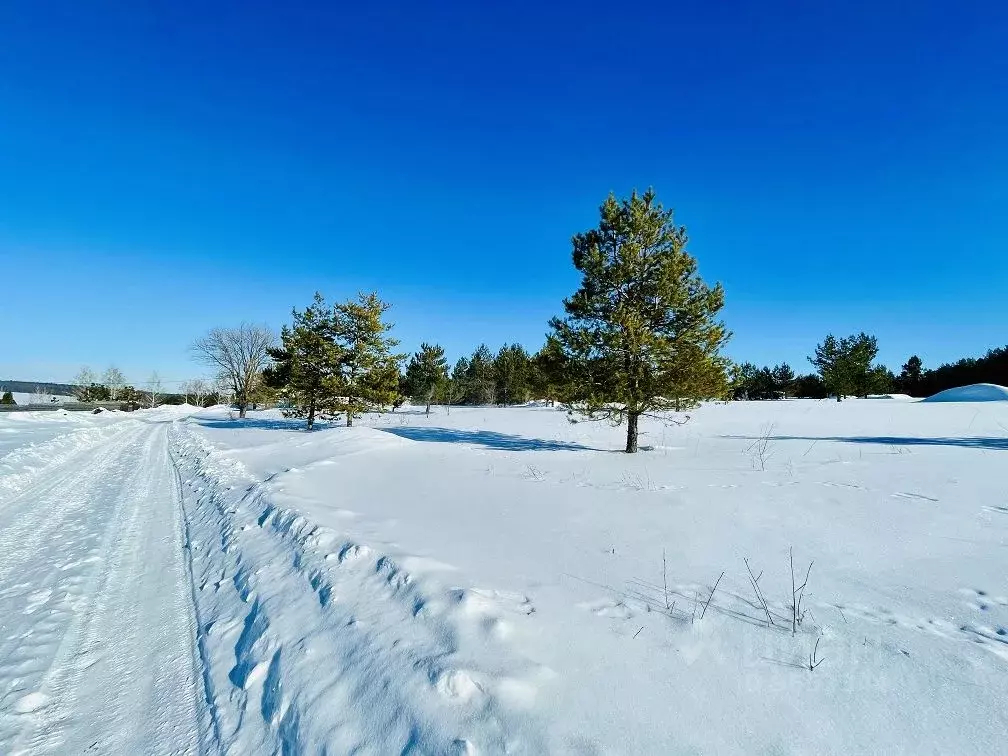 Участок в Самарская область, Красноярский район, с. Старая Бинарадка  ... - Фото 1