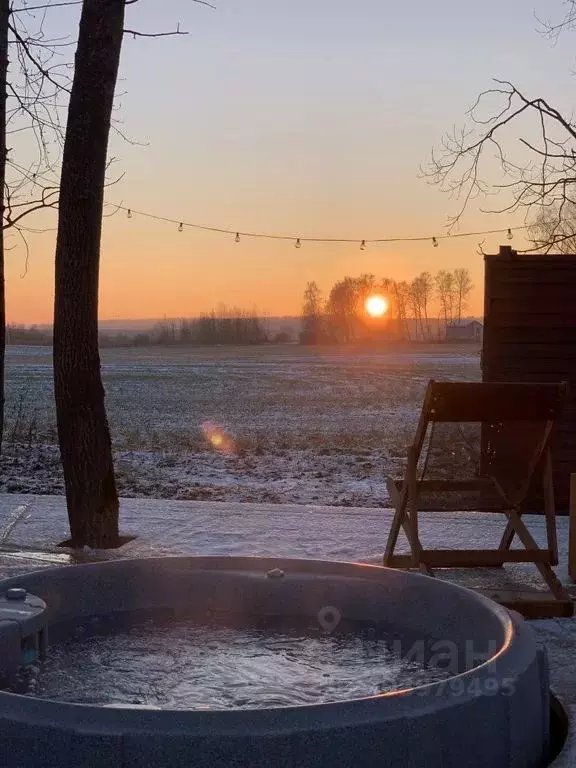 Дом в Московская область, Домодедово городской округ, д. Степыгино, ... - Фото 2