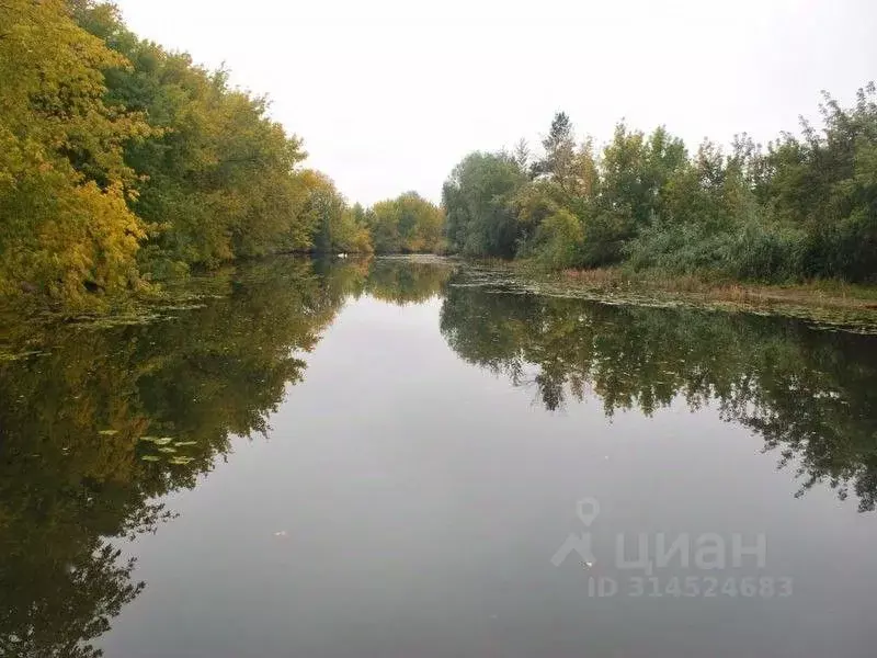 Участок в Самарская область, Ставропольский район, с. Ташелка ул. ... - Фото 0