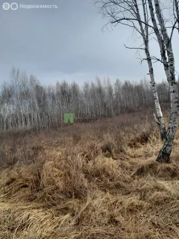 Участок в Читинский район, село Смоленка (300 м) - Фото 0