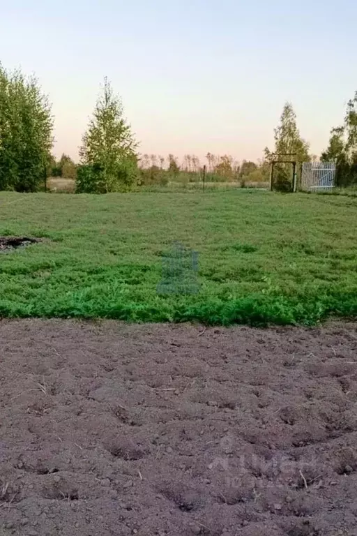 Участок в Чувашия, Чебоксарский муниципальный округ, с. Альгешево ул. ... - Фото 0