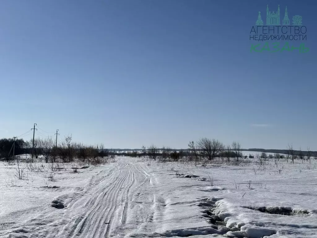 Участок в Татарстан, Лаишевский район, Чирповское с/пос, с. Чирпы  ... - Фото 1