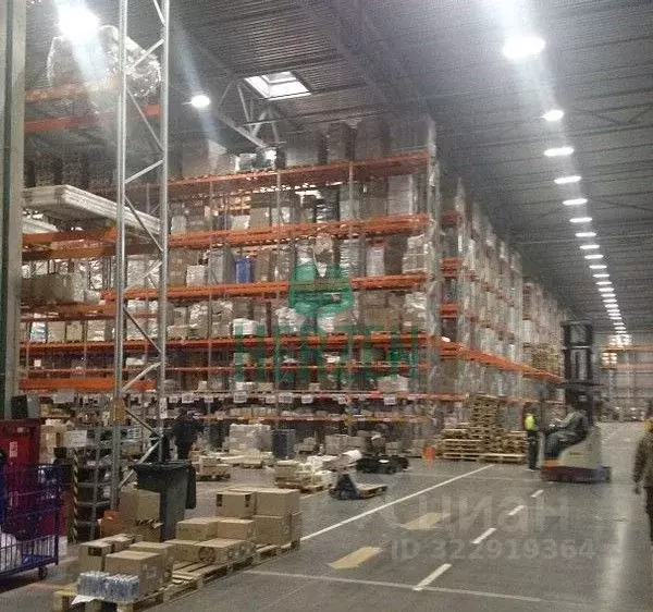 Склад в Московская область, Домодедово Востряково мкр, ул. Рябиновая, ... - Фото 2