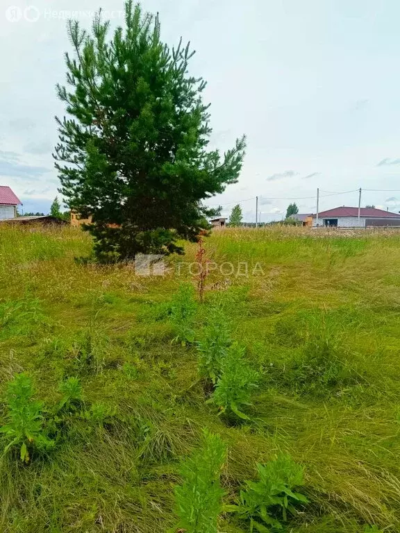 Участок в Верх-Тула, Сосновая улица (7.6 м) - Фото 1