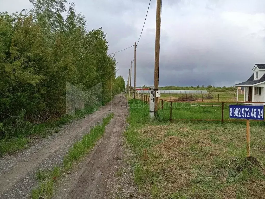 Участок в Тюменская область, Тюмень Большое Царево-3 ОНТ, ул. ... - Фото 1