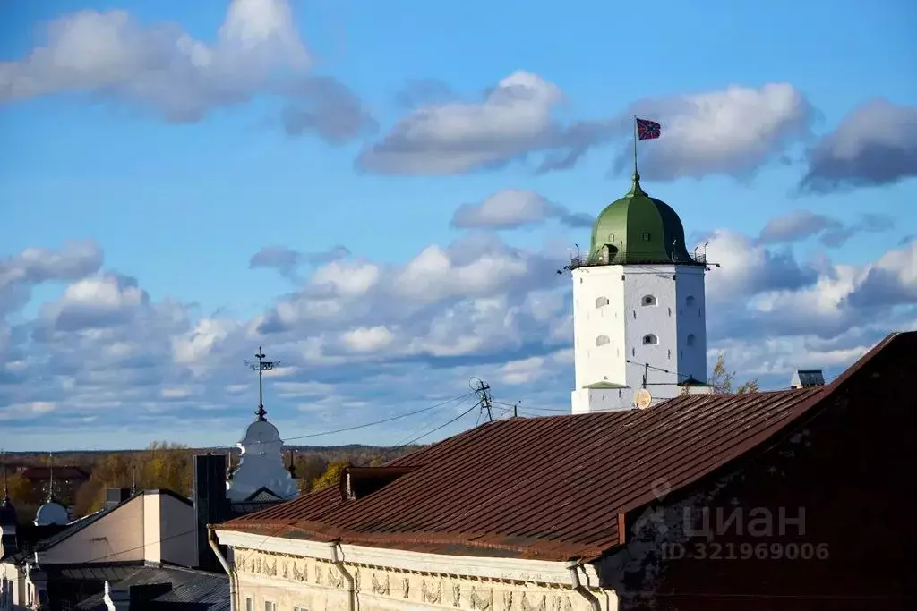 1-к кв. Ленинградская область, Выборг Крепостная ул., 7 (50.0 м) - Фото 2