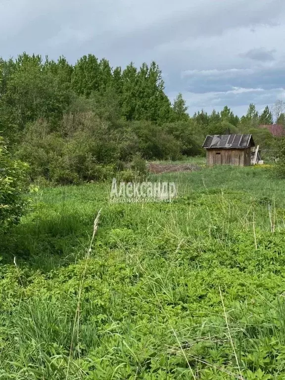 Участок в Ленинградская область, Приозерский район, Ларионовское ... - Фото 1