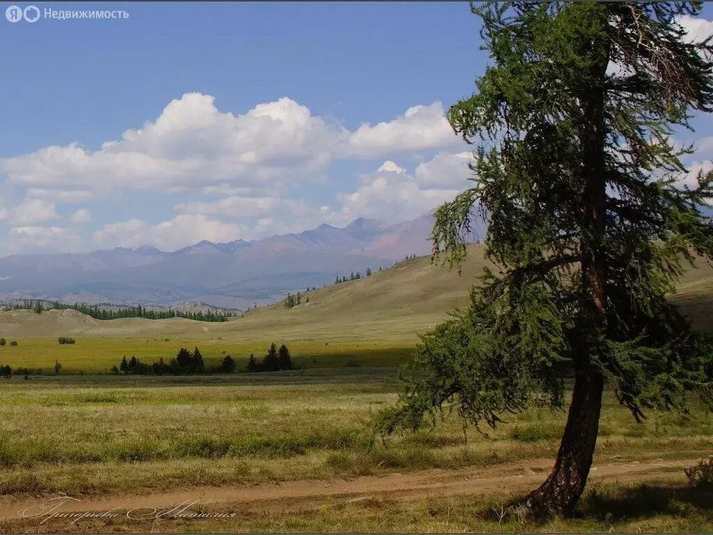 Участок в село Курай, Зелёная улица (250 м) - Фото 1