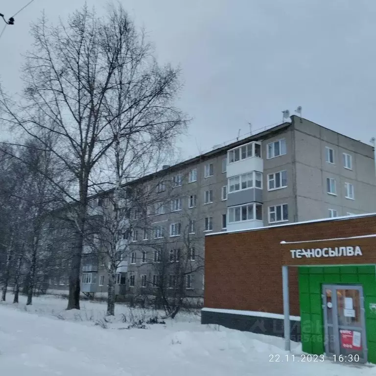 3-к кв. Пермский край, Пермский муниципальный округ, пос. Сылва пер. ... - Фото 1