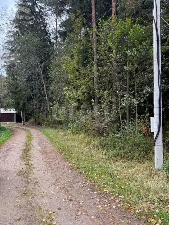 Участок в Ленинградская область, Всеволожский район, Рахьинское ... - Фото 1