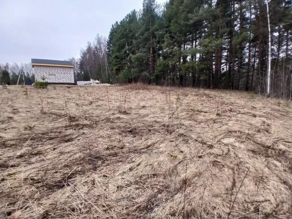 Участок в Костромская область, Костромской район, Середняковское ... - Фото 0