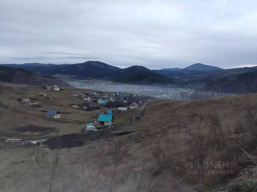 Участок в Алтай, Майминский район, с. Кызыл-Озек ул. Дорожников (10.0 ... - Фото 1