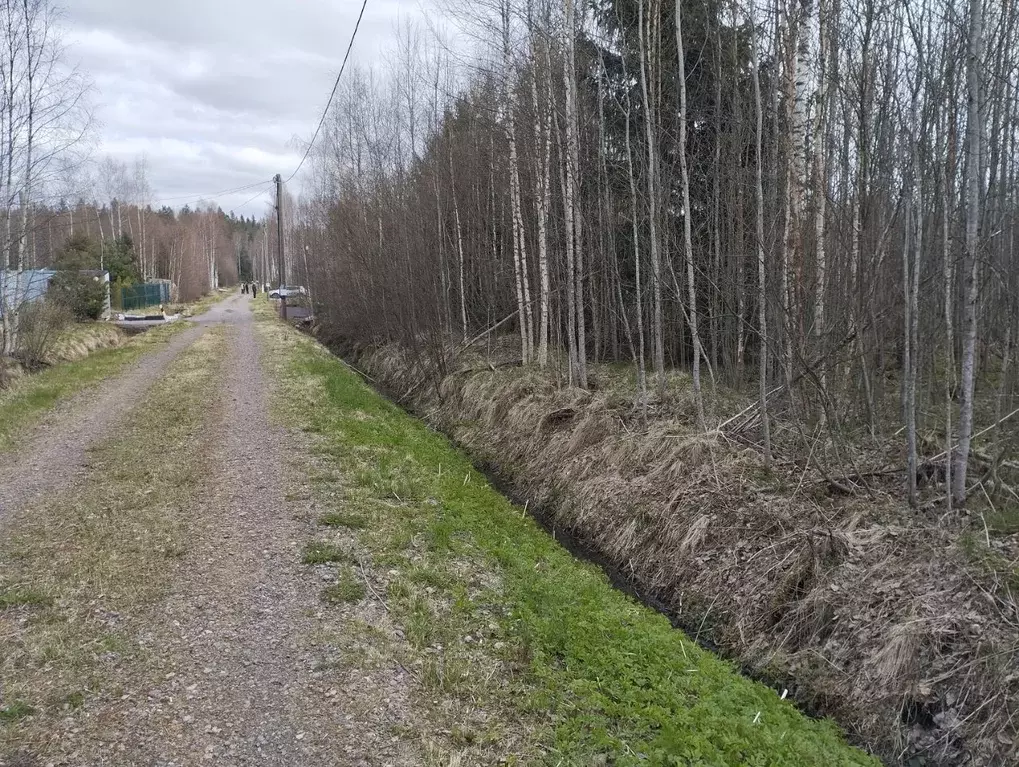 Участок в Ленинградская область, Выборгский район, Советское городское ... - Фото 2