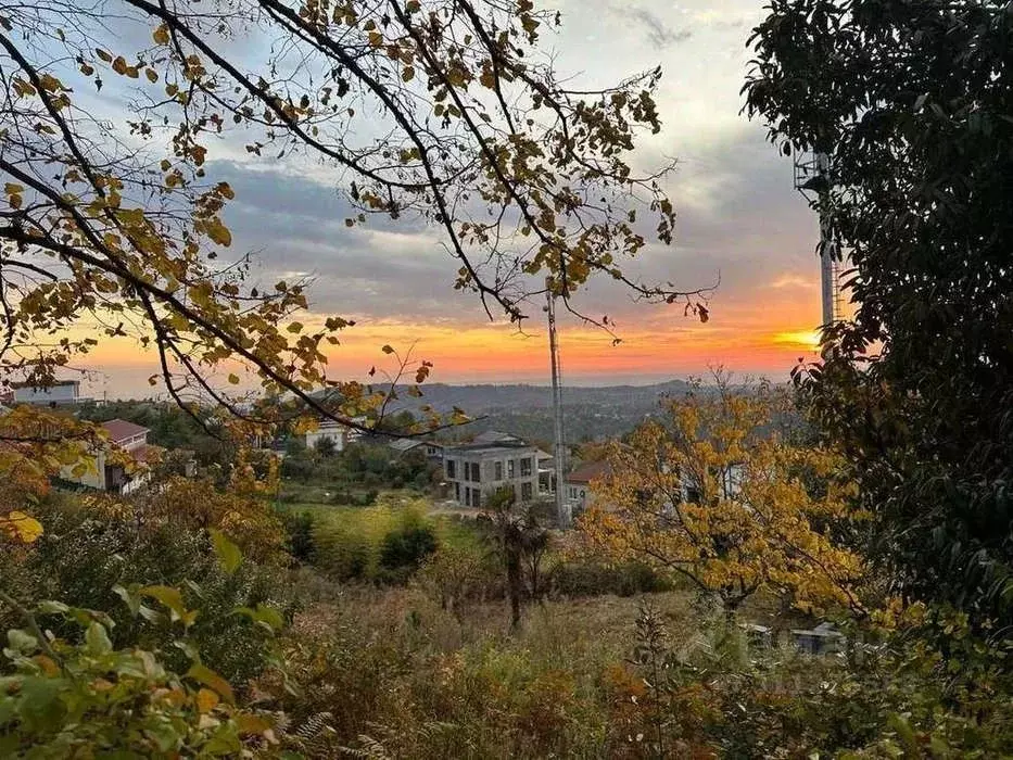 Участок в Краснодарский край, Сочи городской округ, с. Нижняя Шиловка ... - Фото 1