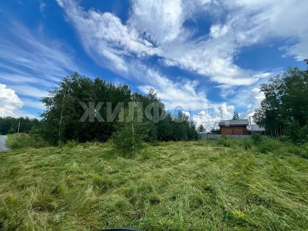 Участок в Новосибирская область, Искитимский район, Быстровский ... - Фото 1