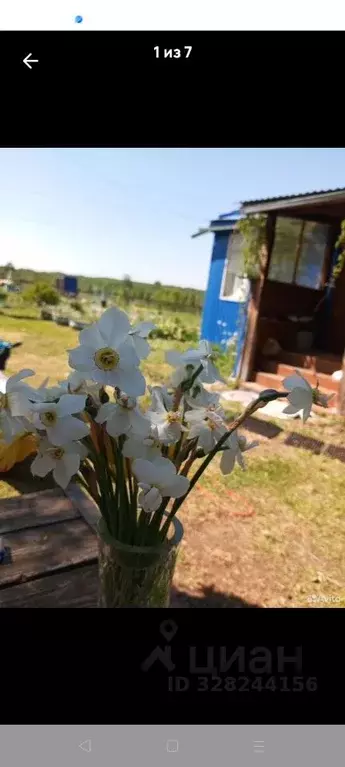 Дом в Ивановская область, Родниковский район, Филисовское с/пос, с. ... - Фото 1