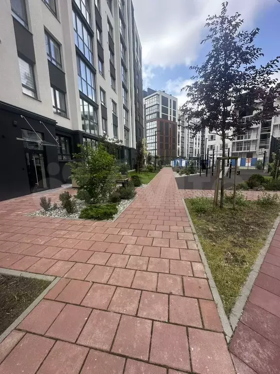 3-к. квартира, 82,3 м, 8/9 эт. - Фото 1