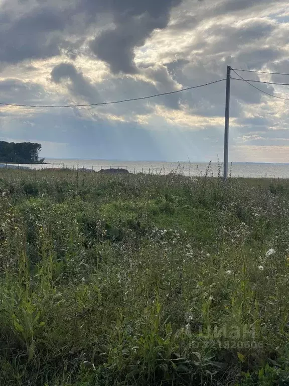 Участок в Новосибирская область, Искитимский район, Быстровский ... - Фото 2