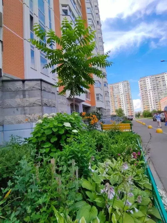 1-к кв. Московская область, Балашиха Железнодорожный мкр, ул. Струве, ... - Фото 1