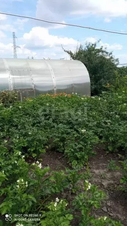 Участок в Курганская область, Курган Надежда СНТ, 118 (12.0 сот.) - Фото 1