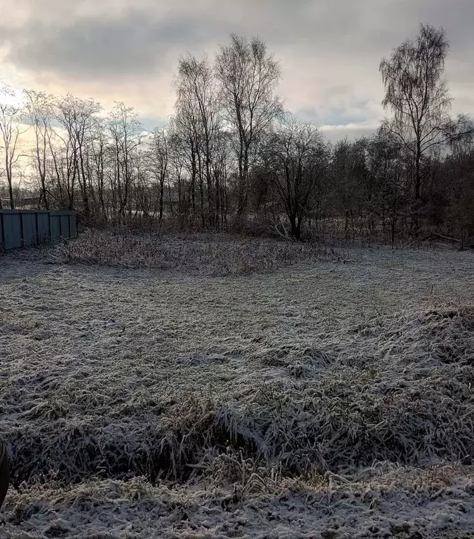 Участок в Московская область, Дмитровский муниципальный округ, д. ... - Фото 1