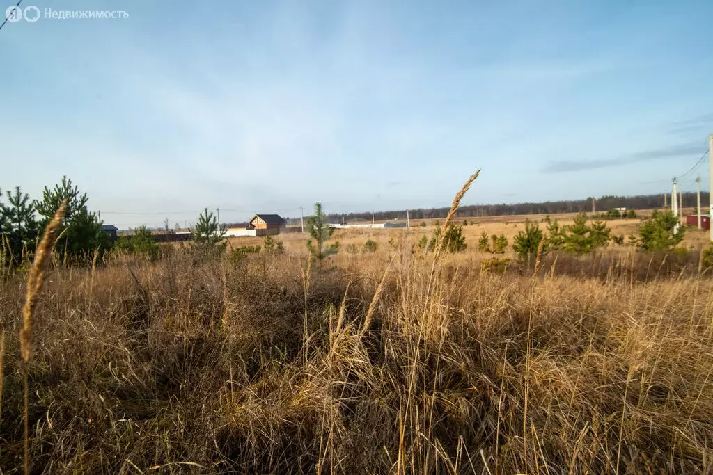 Участок в село Архангельское, микрорайон Зенит, Брусничная улица (10 ... - Фото 2