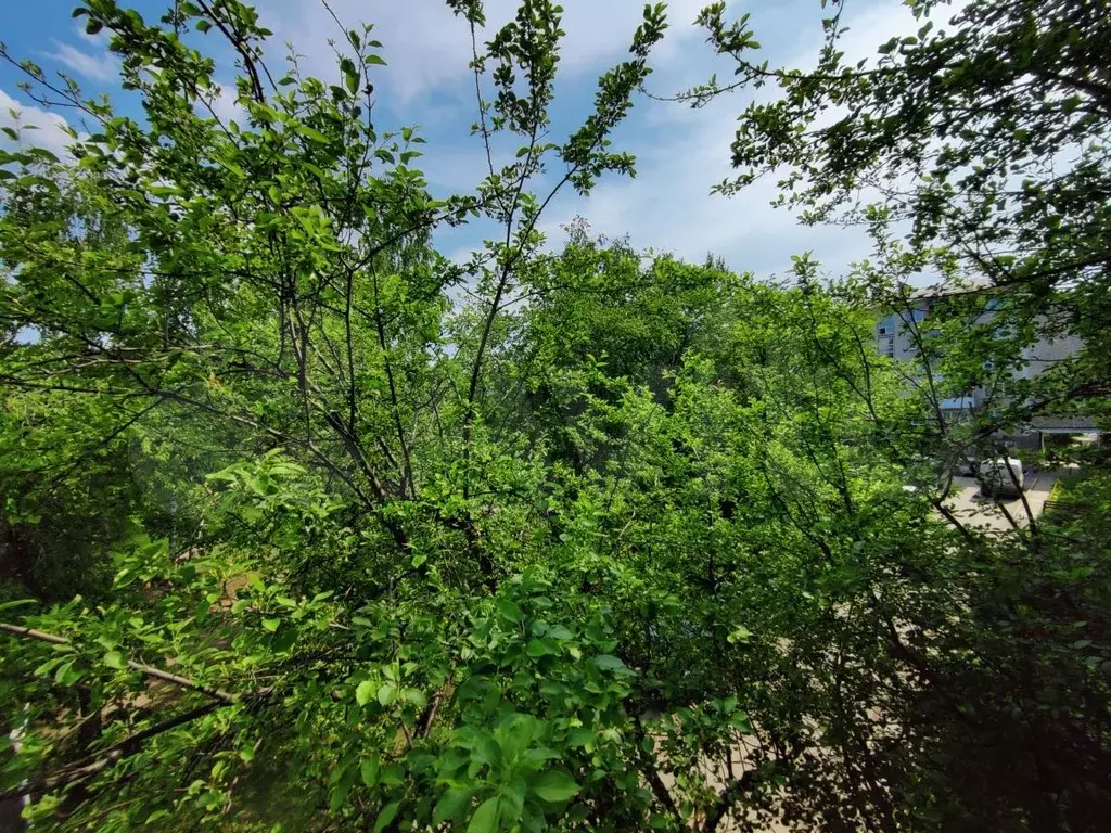 1-к. квартира, 31 м, 3/5 эт. - Фото 1