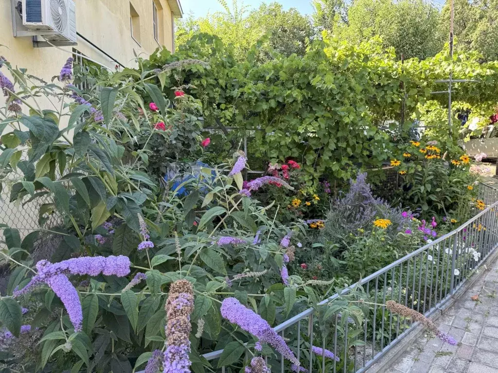 Дом в Краснодарский край, Геленджик просп. Геленджикский, 284 (65 м) - Фото 2