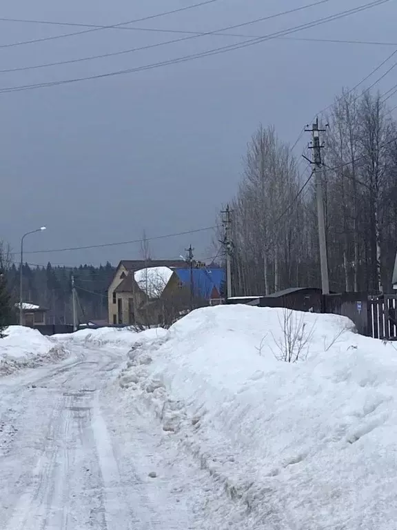 Участок в Пермский край, Пермь Ново-Бродовский жилрайон, ул. Ясеневая ... - Фото 2