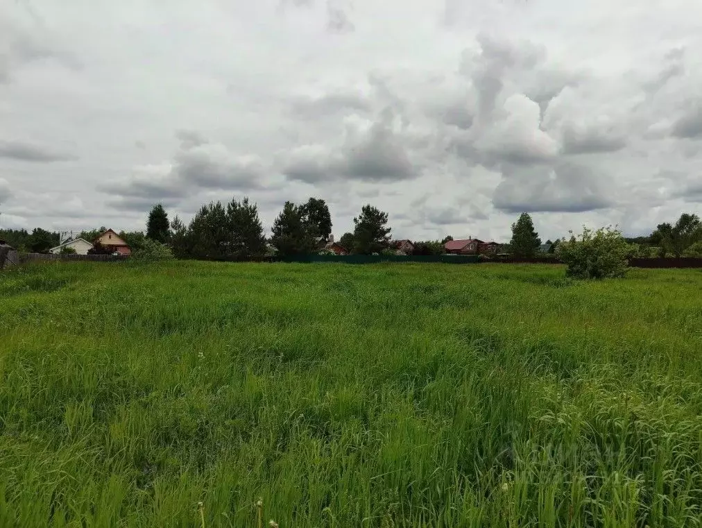 Участок в Московская область, Орехово-Зуевский городской округ, д. ... - Фото 1