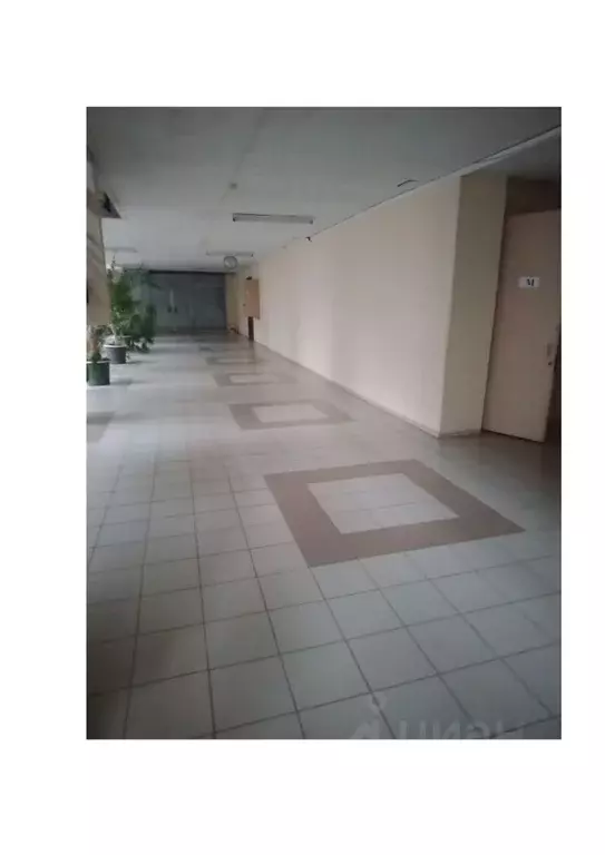 Помещение свободного назначения в Новосибирская область, Новосибирский ... - Фото 1