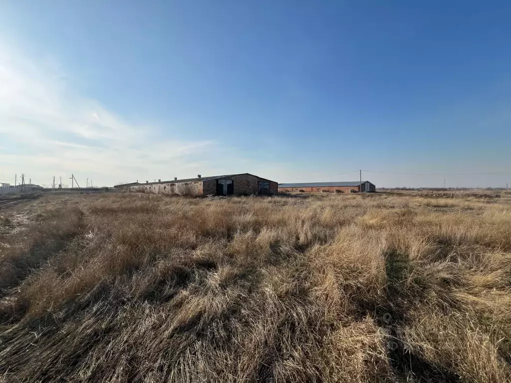 Участок в Ростовская область, Азовский район, с. Пешково ул. Карла ... - Фото 2