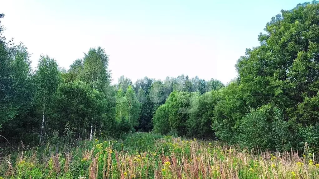 Участок в Калужская область, Калуга городской округ, д. Колюпаново  ... - Фото 0