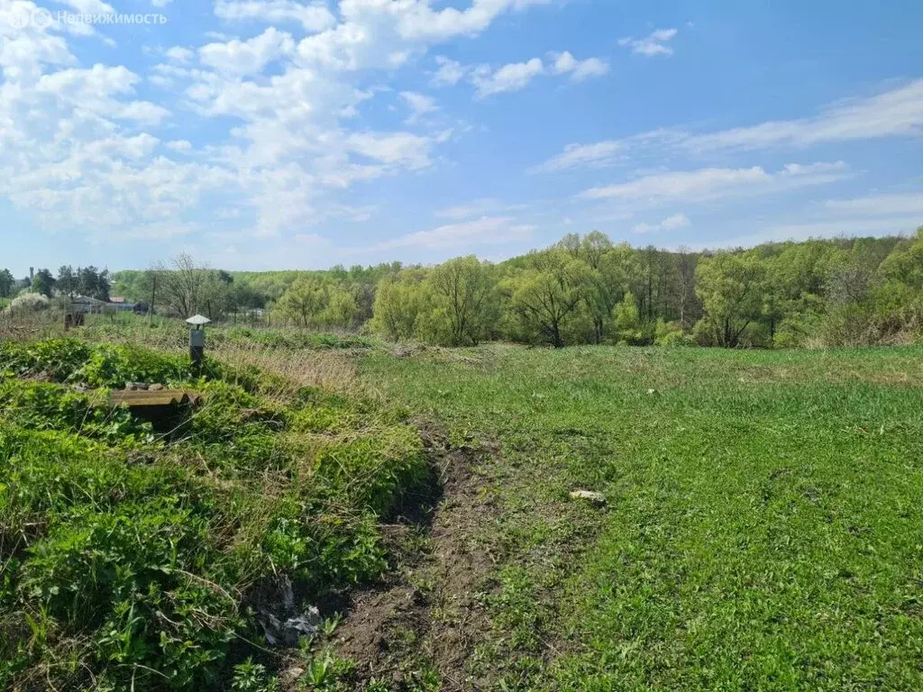 Участок в село Большая Каменка, Овражная улица, 13 (25 м) - Фото 1