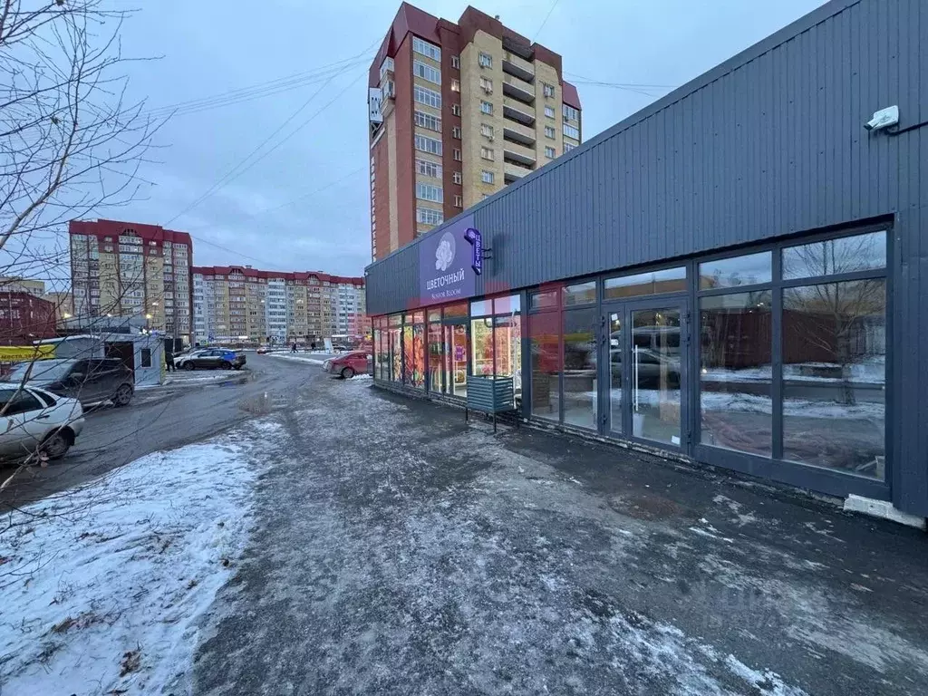Торговая площадь в Тюменская область, Тюмень ул. Пермякова, 68/2/1 (50 ... - Фото 2