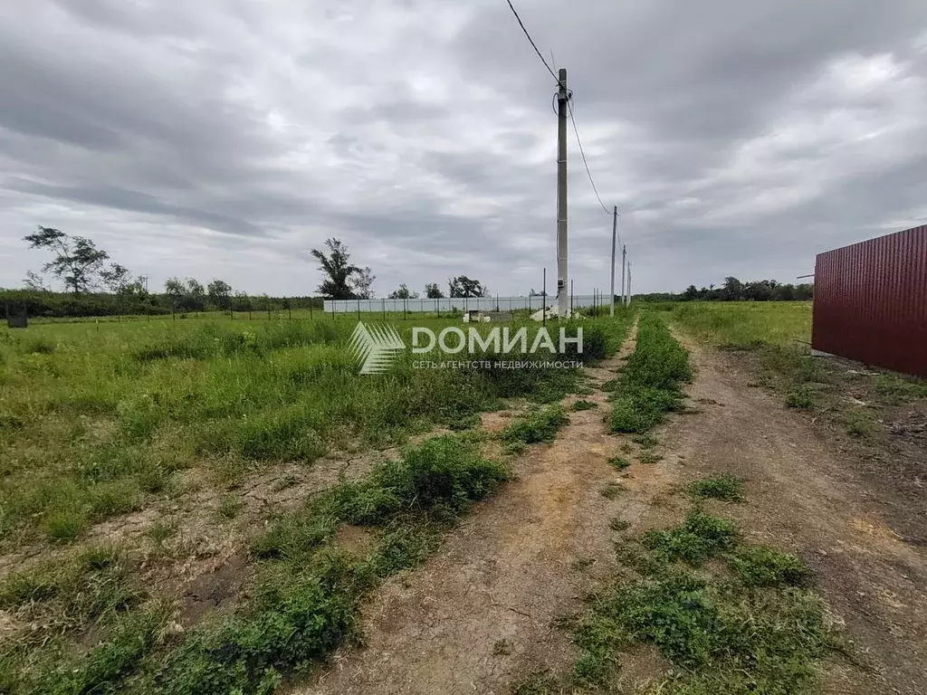 Участок в Ростовская область, Багаевское с/пос, Бенелюкс СНТ 14 (8.0 ... - Фото 2