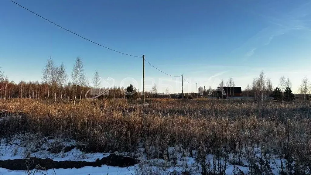 Участок в Тюменская область, Тюменский муниципальный округ, ... - Фото 1