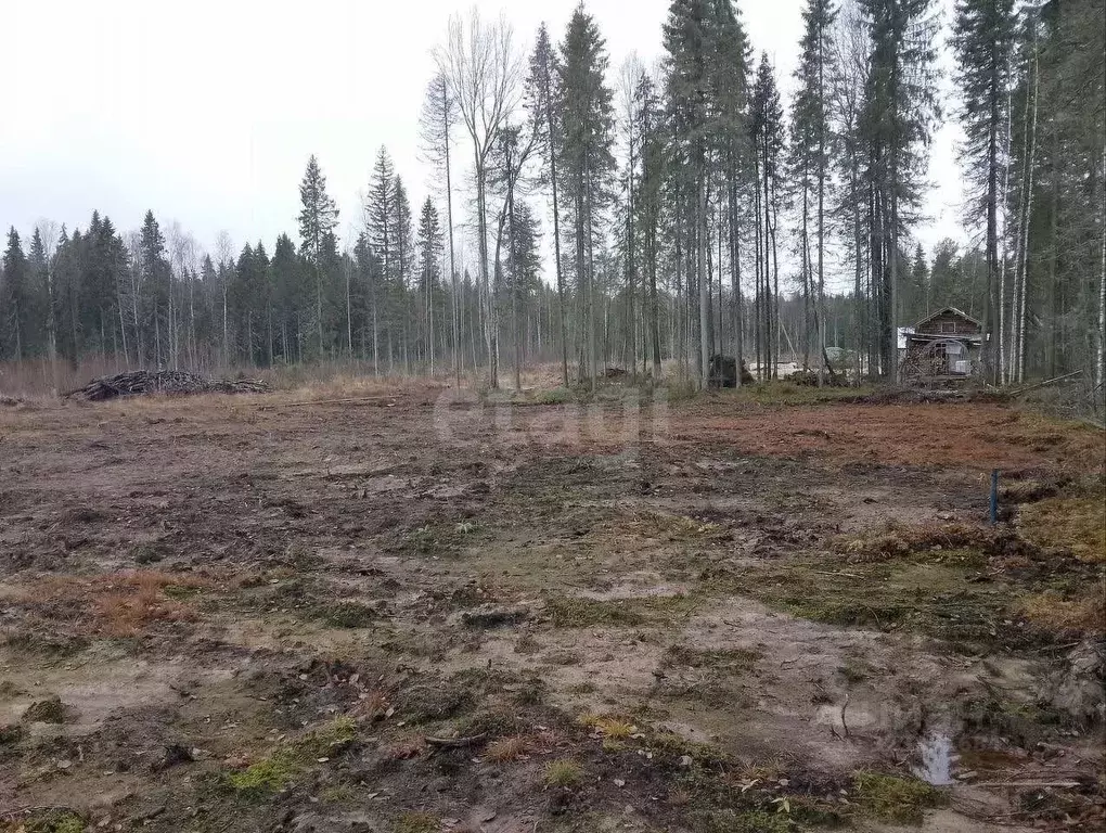 Участок в Коми, Сыктывкар Сиреневая ул., 20 (7.0 сот.) - Фото 1