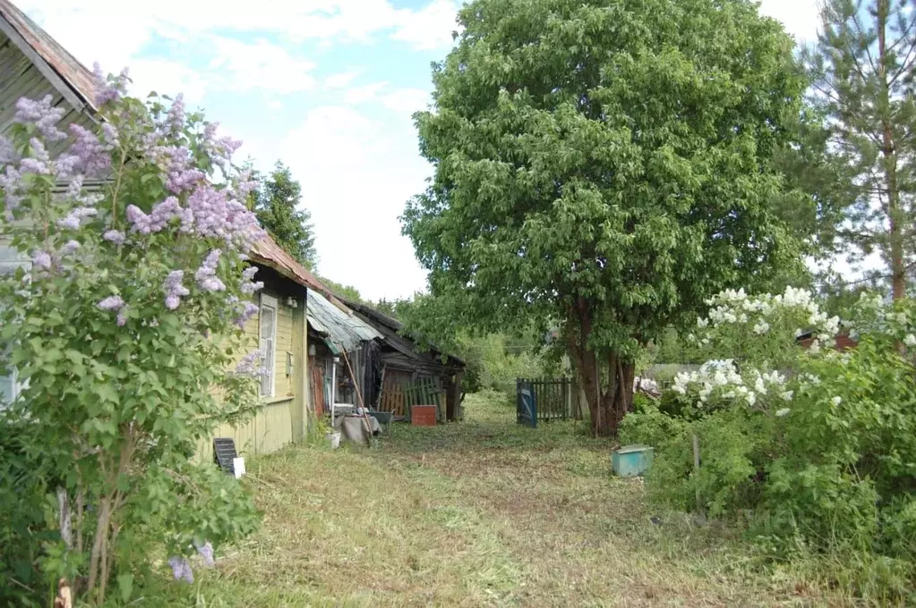 Участок в Ленинградская область, Гатчинский район, Елизаветинское ... - Фото 1