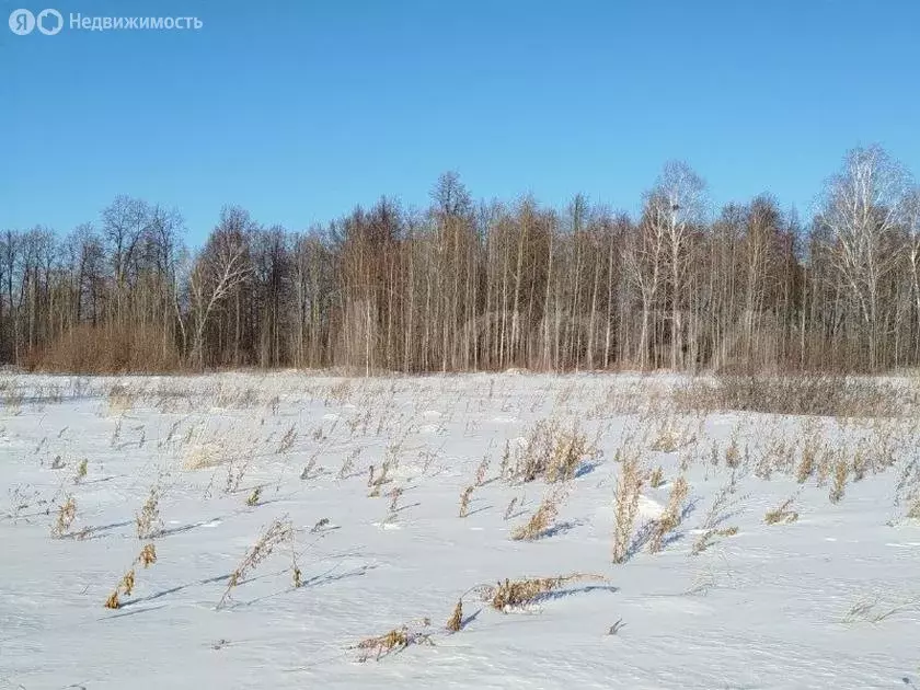 Участок в Тюмень, КП Свои (5.6 м) - Фото 1