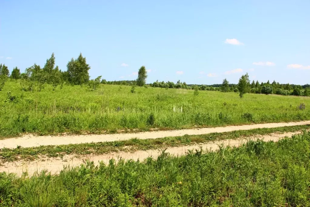 Участок в Тульская область, Заокский район, Демидовское с/пос, д. ... - Фото 1
