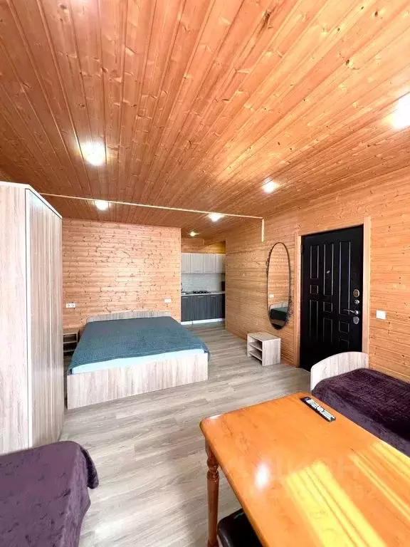 Комната Краснодарский край, Сочи городской округ, Дагомыс пгт ул. ... - Фото 1