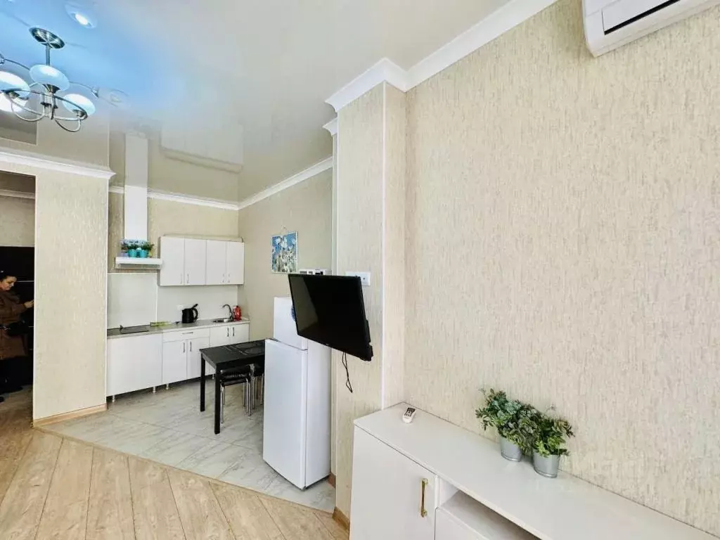 1-к кв. Краснодарский край, Сочи ул. Просвещения, 118/1 (27.0 м) - Фото 1