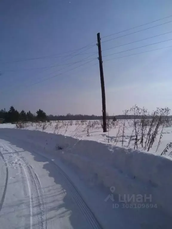 Участок в Костромская область, Красносельский район, Боровиковское ... - Фото 0