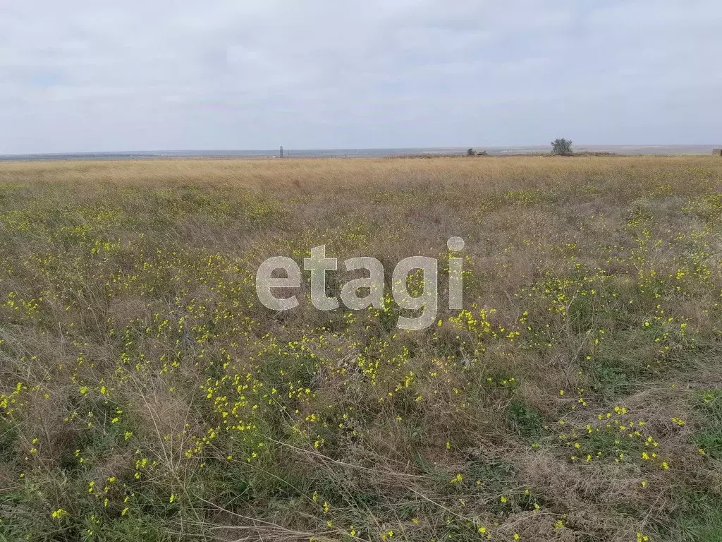 Участок в Крым, Сакский район, с. Штормовое ул. Ленина (6.0 сот.) - Фото 0