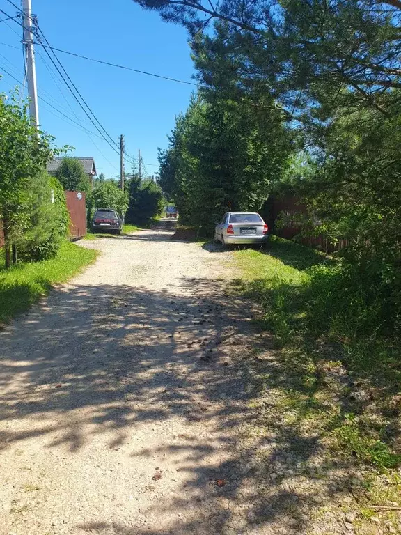 Участок в Московская область, Солнечногорск городской округ, д. ... - Фото 1