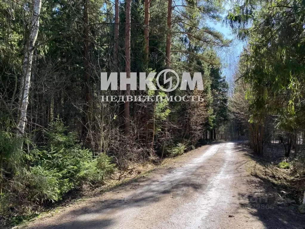 Дом в Московская область, Одинцовский городской округ, д. Пронское 32 ... - Фото 1