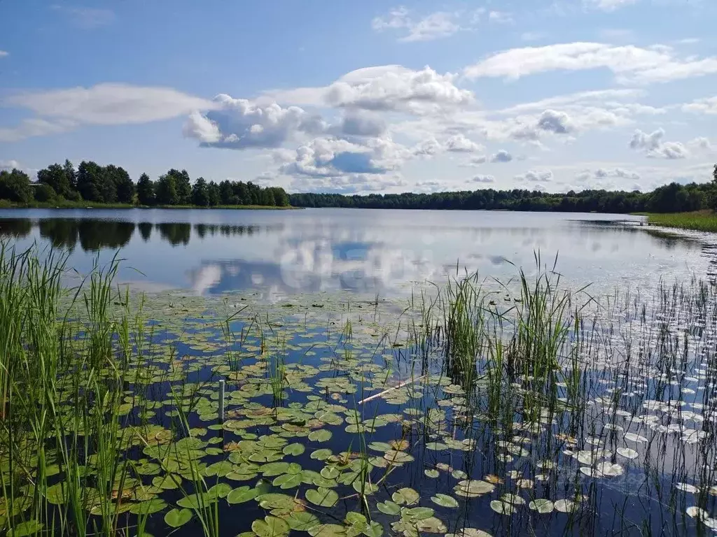 Участок в Вологодская область, Вытегорский район, Оштинское с/пос, д. ... - Фото 1